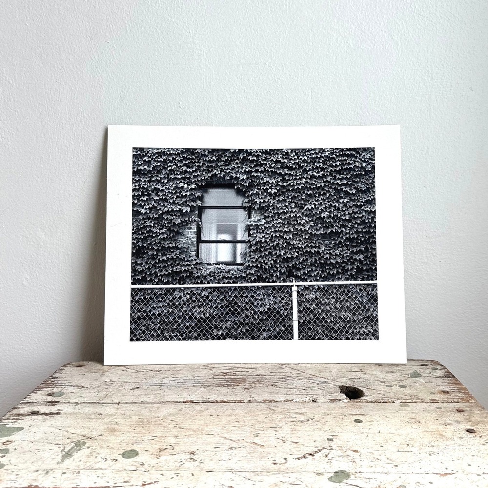 Black and White Ivy Window Photography Print Matted Wall Art 11x14 Urban Nature